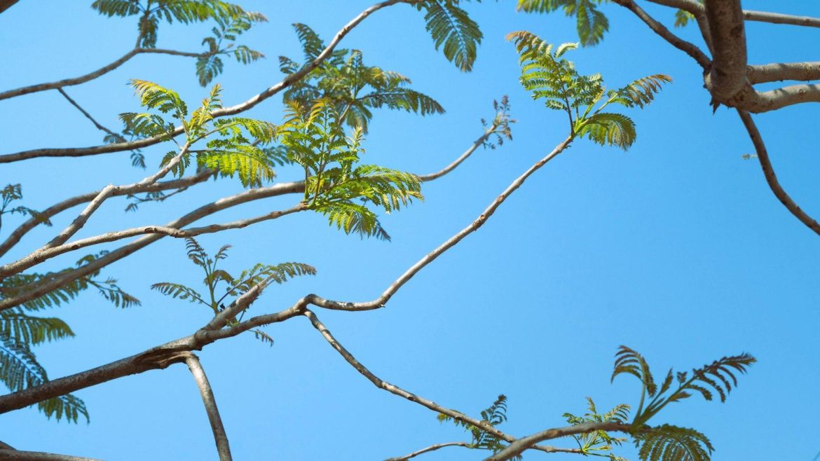 The Evolution of Trendy Style: Unveiling the Creative Fashion Choices Shaping the Scene