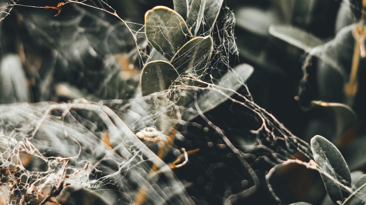 trendy-living-embracing-fashion-in-everyday-life.jpg Trendy Living: Embracing Fashion in Everyday Life