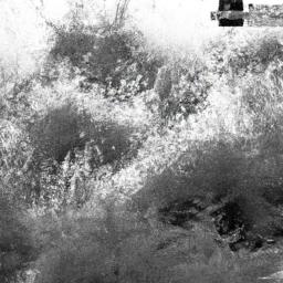 Must-Have Pieces That Embody the Essence of Contemporary Fashion